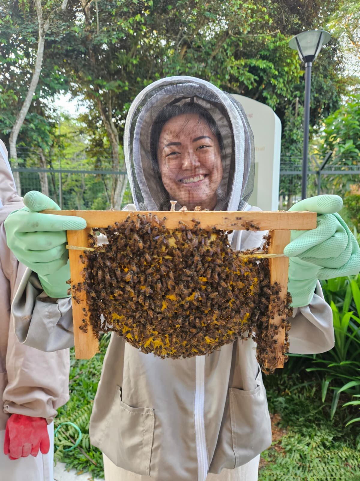 Meet the Bees, Discover the Farm: A Rooftop Farm Experience