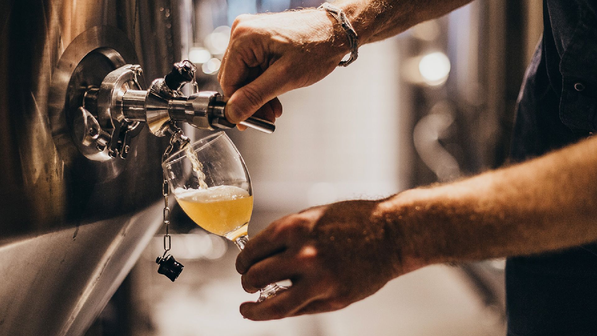From Grain to Glass: An Exclusive Lion Brewery Experience