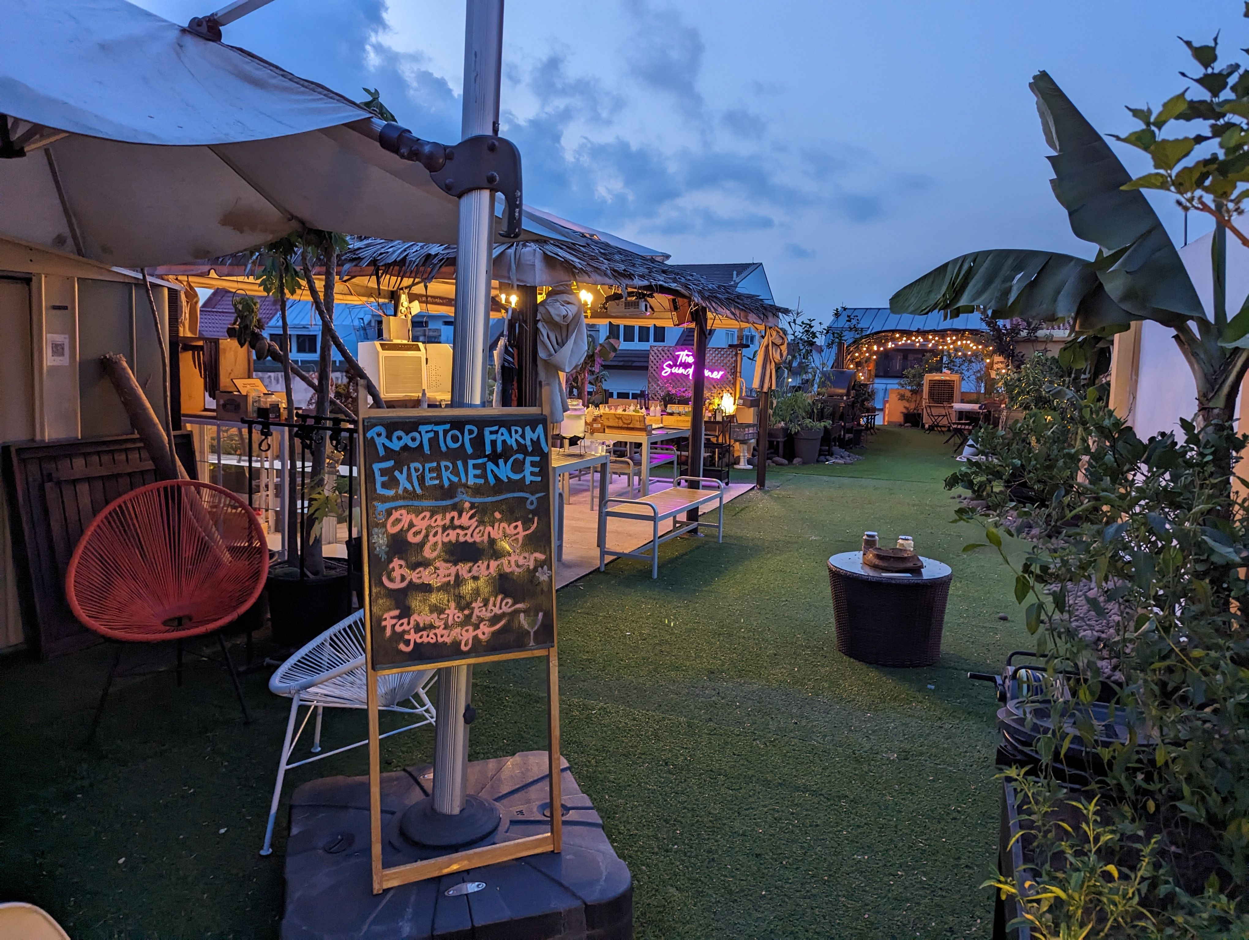 Meet the Bees, Discover the Farm: A Rooftop Farm Experience