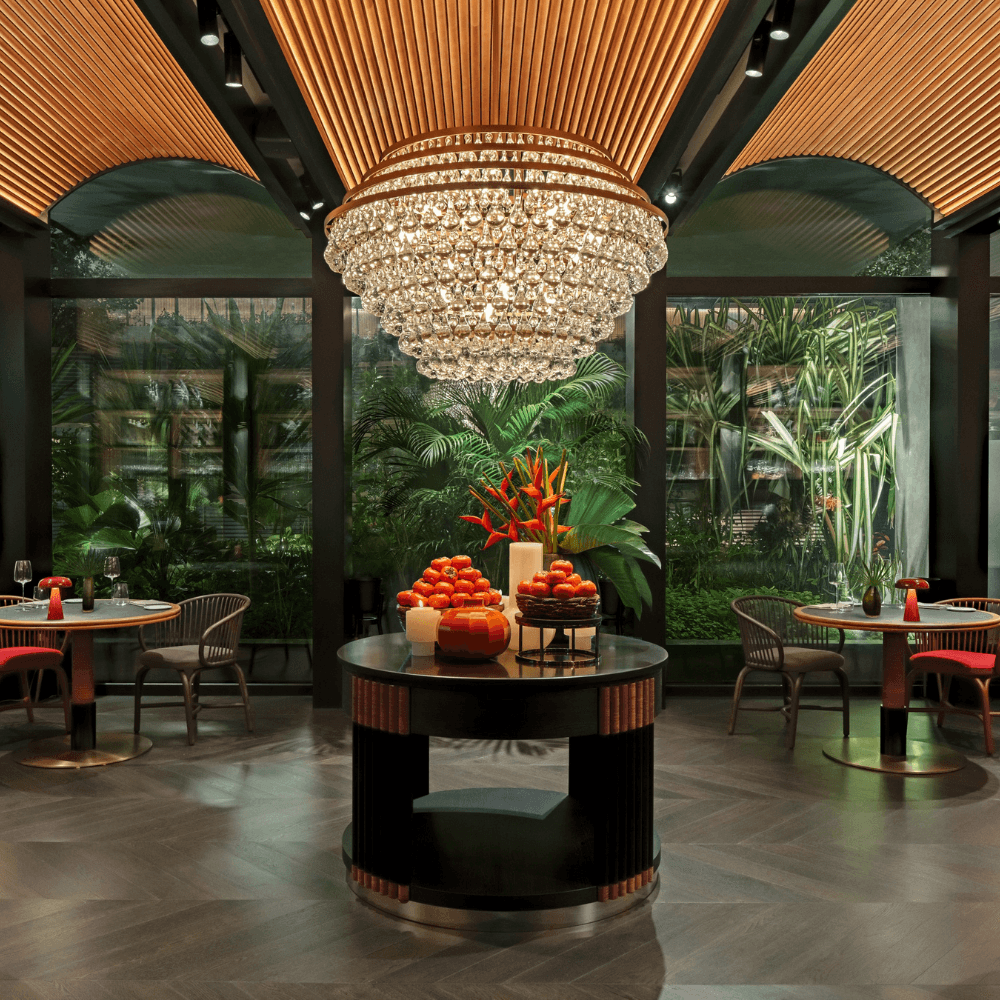 Quenino Discovery Dinner